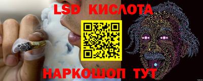 гашик Будённовск
