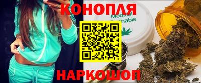 гашик Будённовск