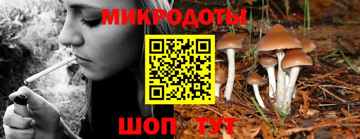 Псилоцибиновые грибы Magic Shrooms  Вход с VPN  Череповец 